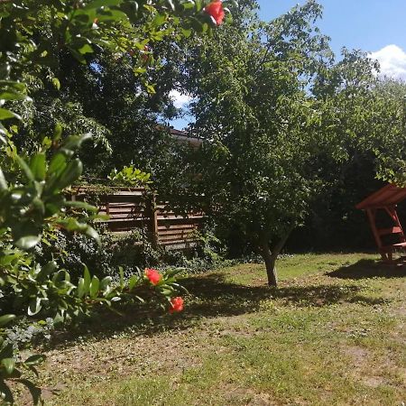 Rakos-Patak Family House Ξενοδοχείο Βουδαπέστη Εξωτερικό φωτογραφία