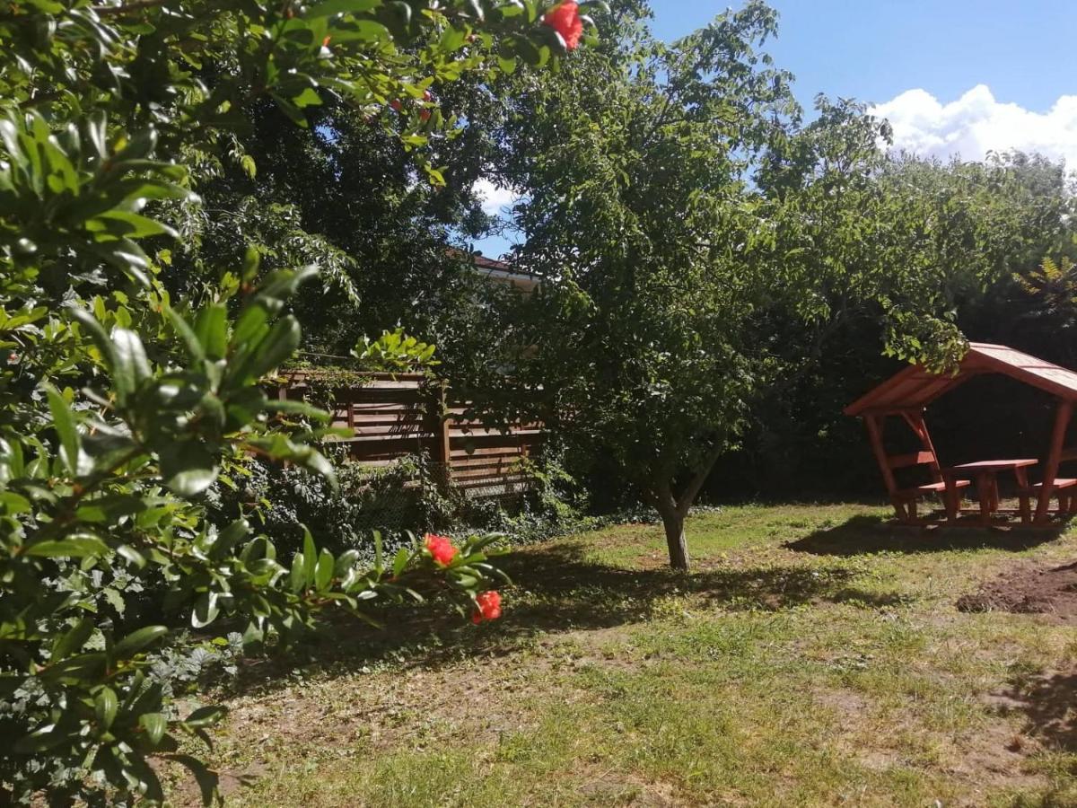 Rakos-Patak Family House Ξενοδοχείο Βουδαπέστη Εξωτερικό φωτογραφία