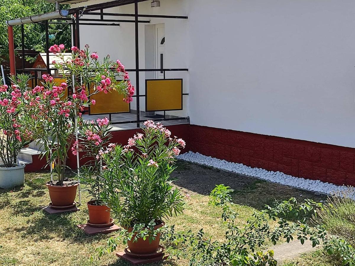 Rakos-Patak Family House Ξενοδοχείο Βουδαπέστη Εξωτερικό φωτογραφία