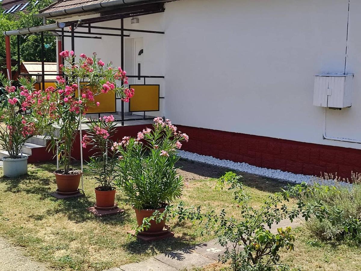Rakos-Patak Family House Ξενοδοχείο Βουδαπέστη Εξωτερικό φωτογραφία