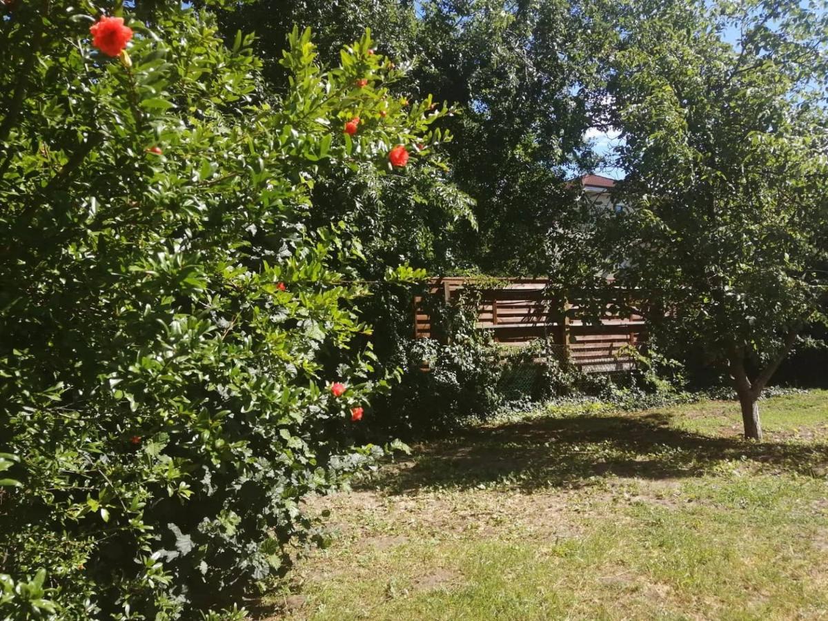 Rakos-Patak Family House Ξενοδοχείο Βουδαπέστη Εξωτερικό φωτογραφία