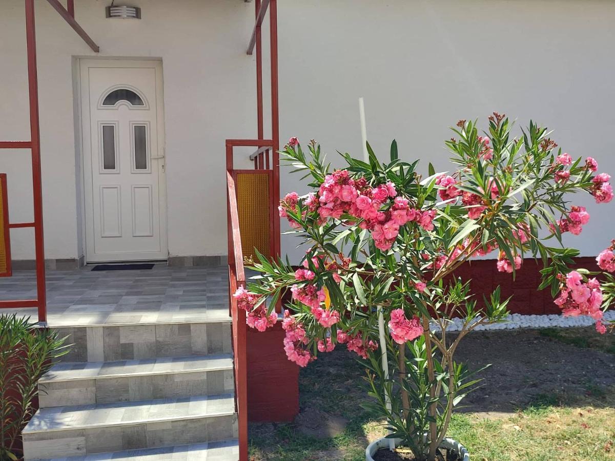 Rakos-Patak Family House Ξενοδοχείο Βουδαπέστη Εξωτερικό φωτογραφία