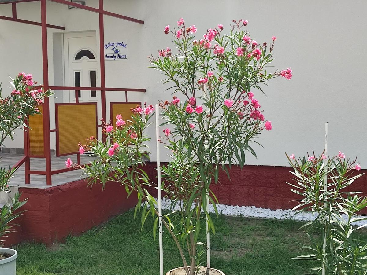 Rakos-Patak Family House Ξενοδοχείο Βουδαπέστη Εξωτερικό φωτογραφία
